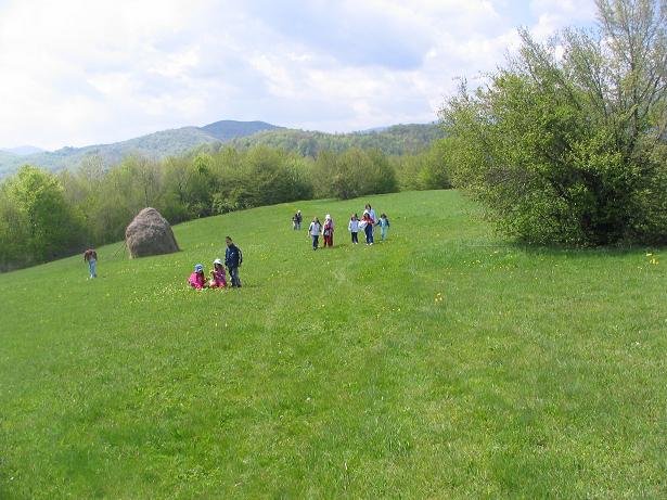 Planina Goč