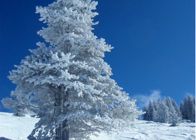 skijalište na goču