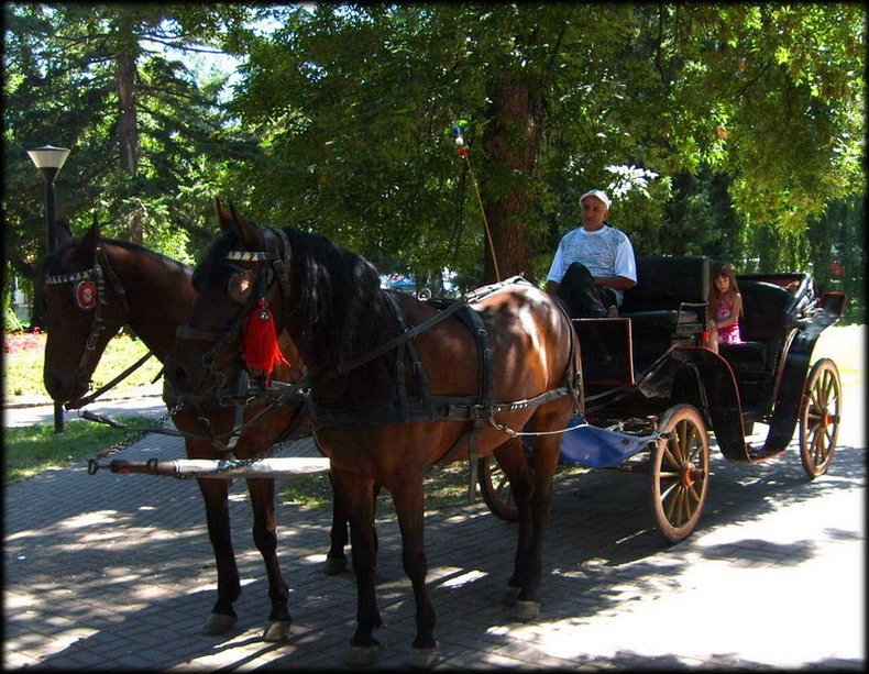 Vrnjački fijaker